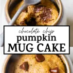 cake in a mug with text overlay