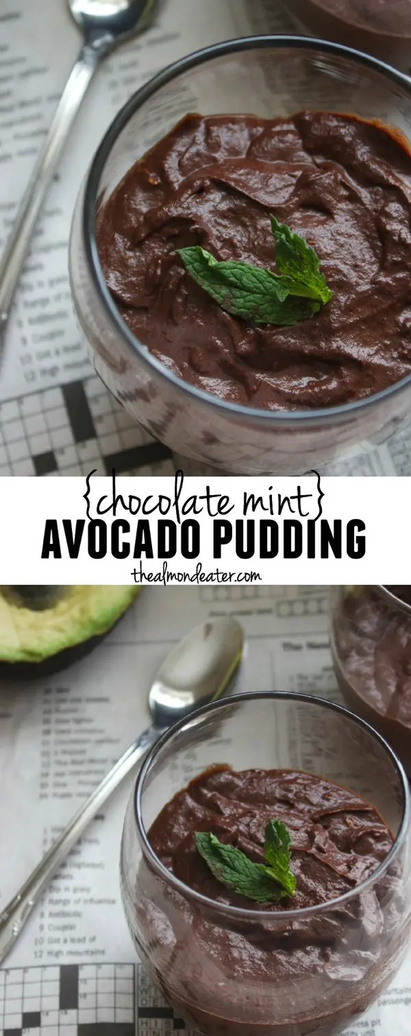 Chocolate Mint Avocado Pudding 123