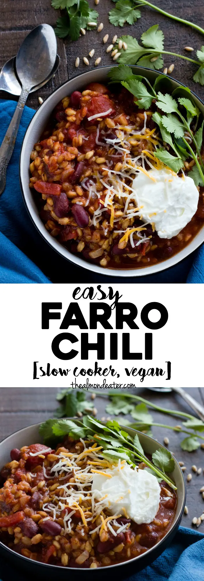 Easy Farro Chili | A chili recipe featuring farro and beans made in your slow cooker! Prep time is less than 5 minutes | thealmondeater.com