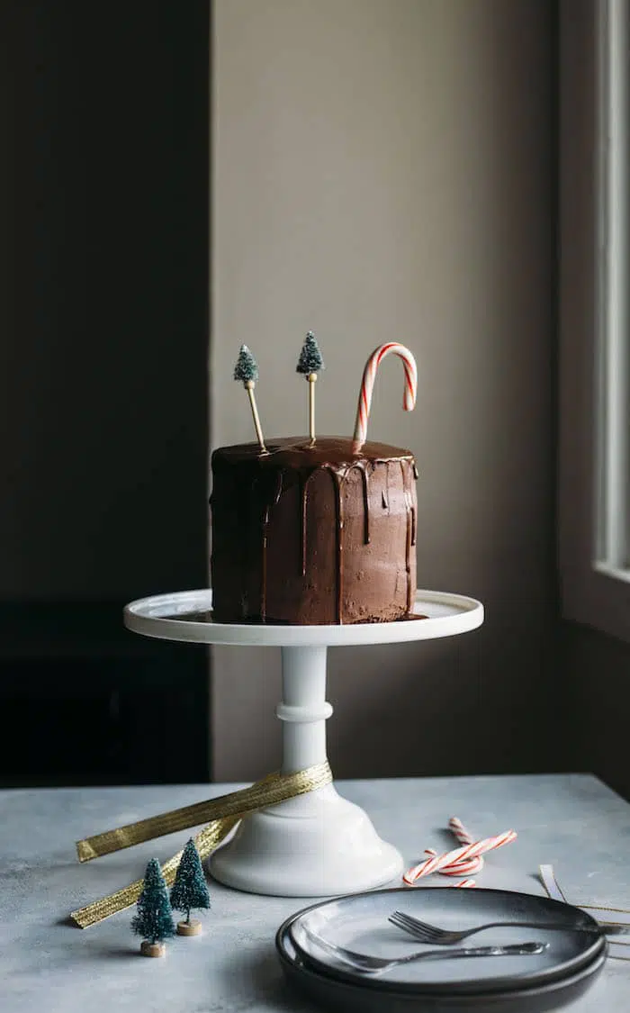 Vegan Chocolate Peppermint Cake | A delicious chocolate peppermint cake iced with chocolate ganache, aka the perfect holiday dessert! | thealmondeater.com