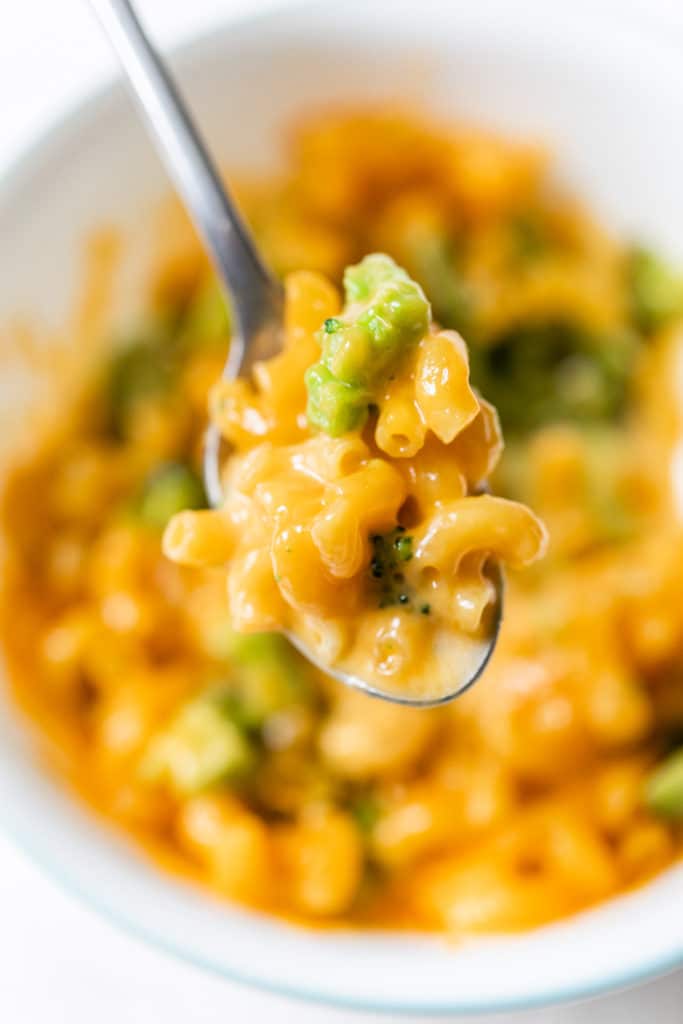 pasta with cheese and broccoli