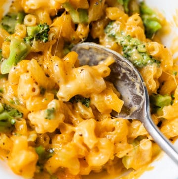 pasta with cheese and broccoli