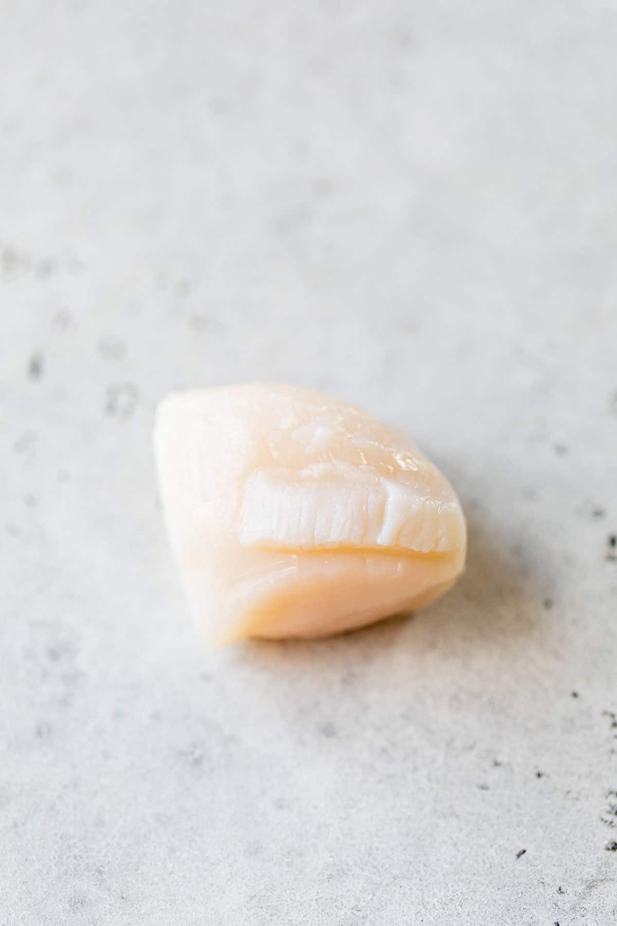 raw scallop on a table