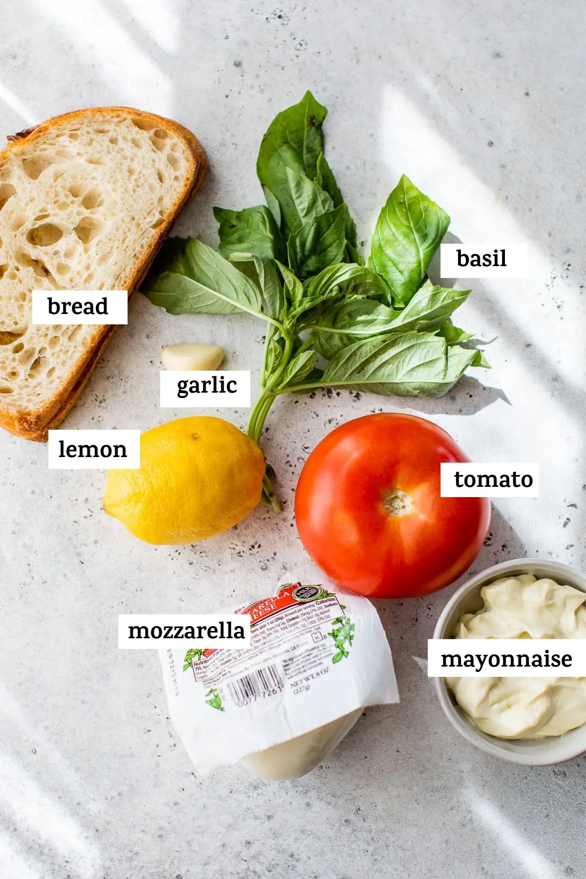 ingredients to make a sandwich