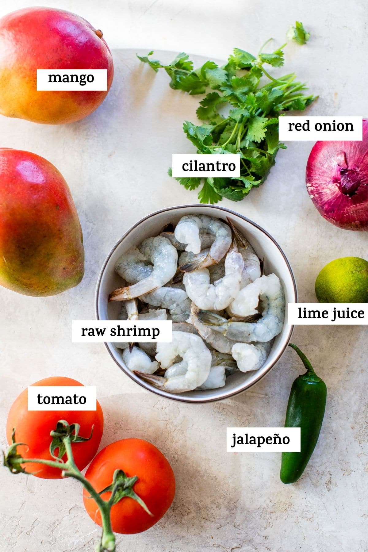 ceviche ingredients on a table with text overlay