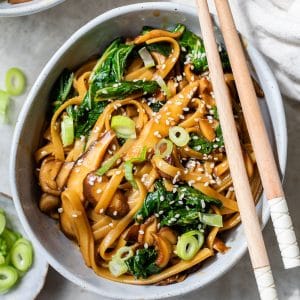 a bowl of long noodles with cooked bok choy and scallions