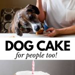 human and dog eating cake together