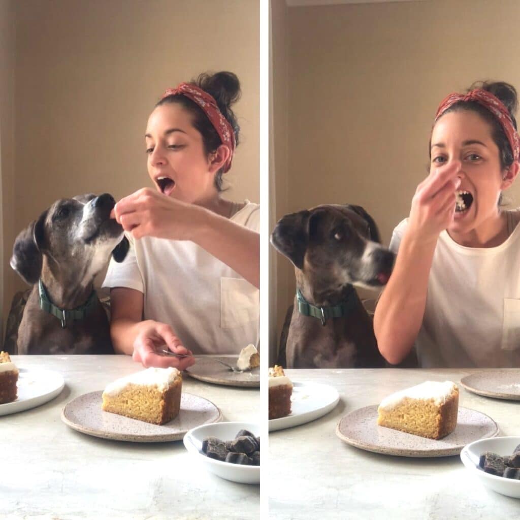 dog and human sharing a slice of cake