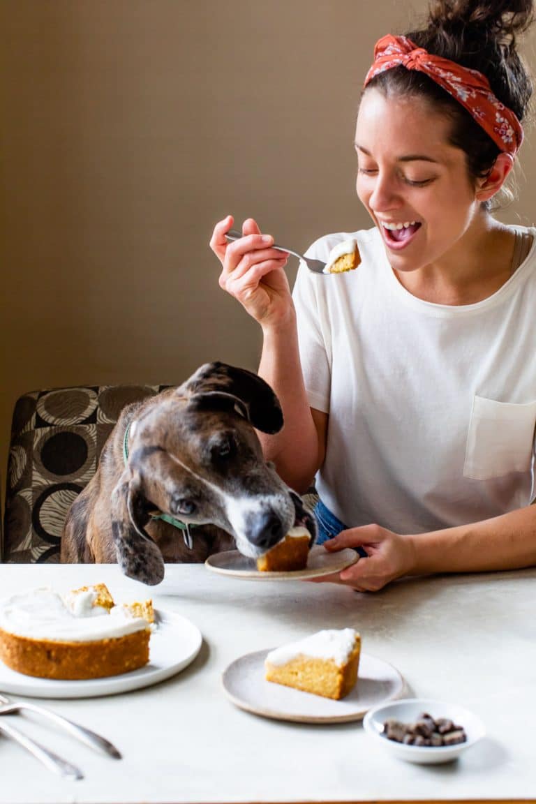 human and a puppy eating a slice of cake together