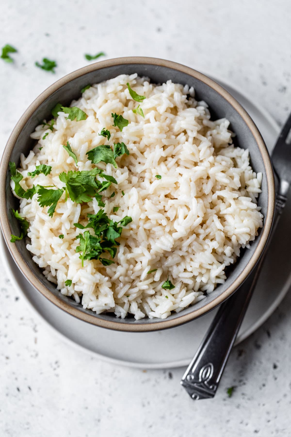 a bowl of white rice topped with cilantro
