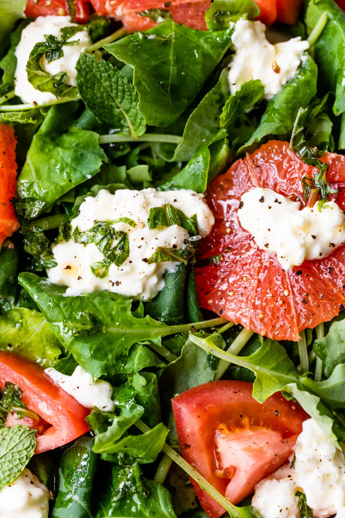 close up photo of baby kale, sliced grapefruit, diced tomato, burrata cheese, and fresh mint