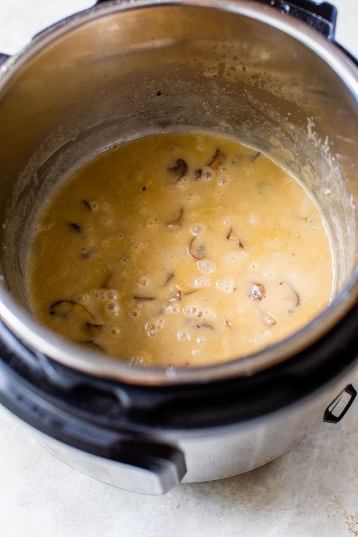 gravy in the instant pot