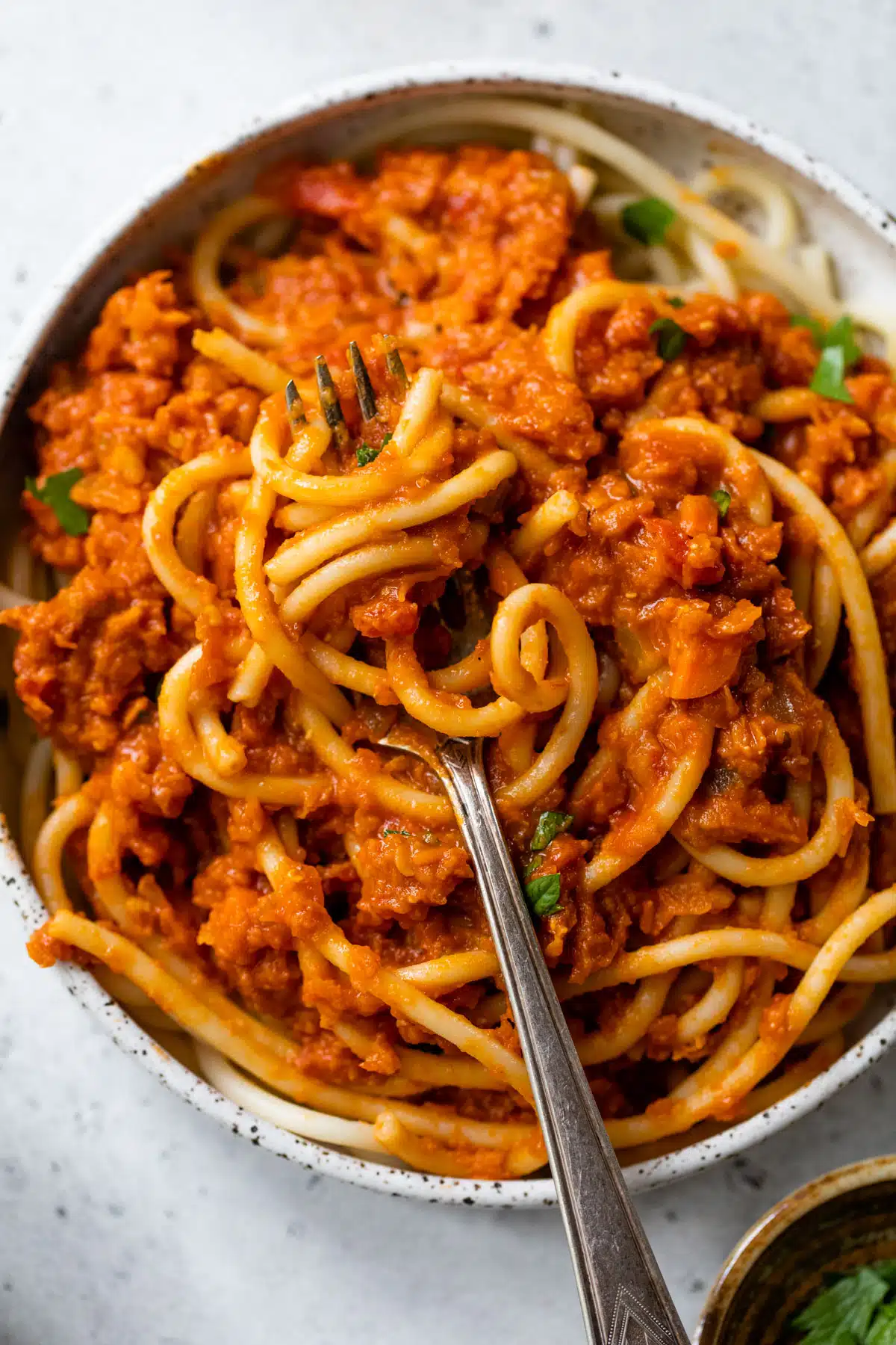 a fork twirled around pasta and pasta sauce