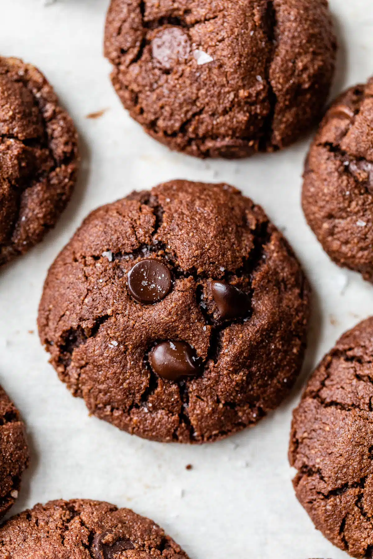 several chocolate cookies with chocolate chips on parchment paper