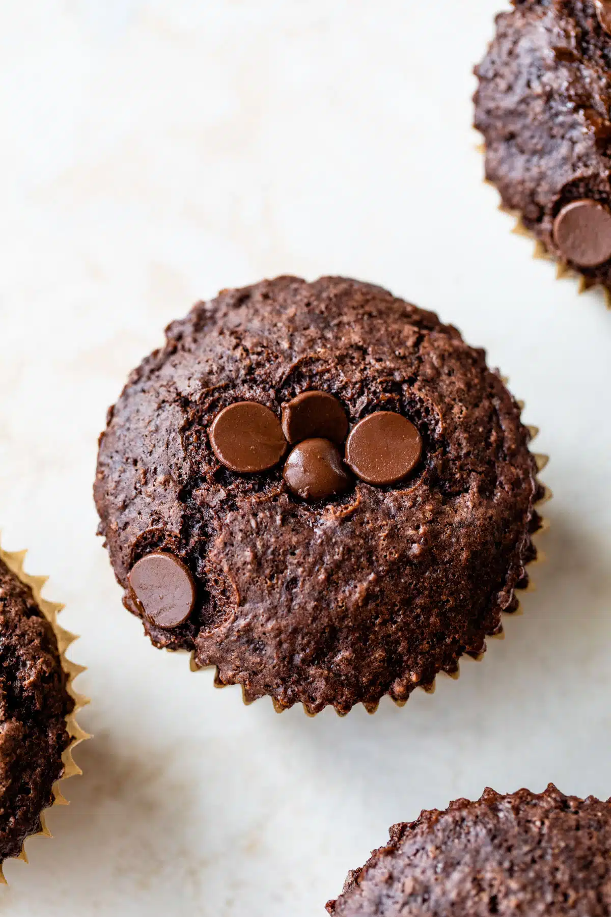 a vegan chocolate muffin with chocolate chips on top