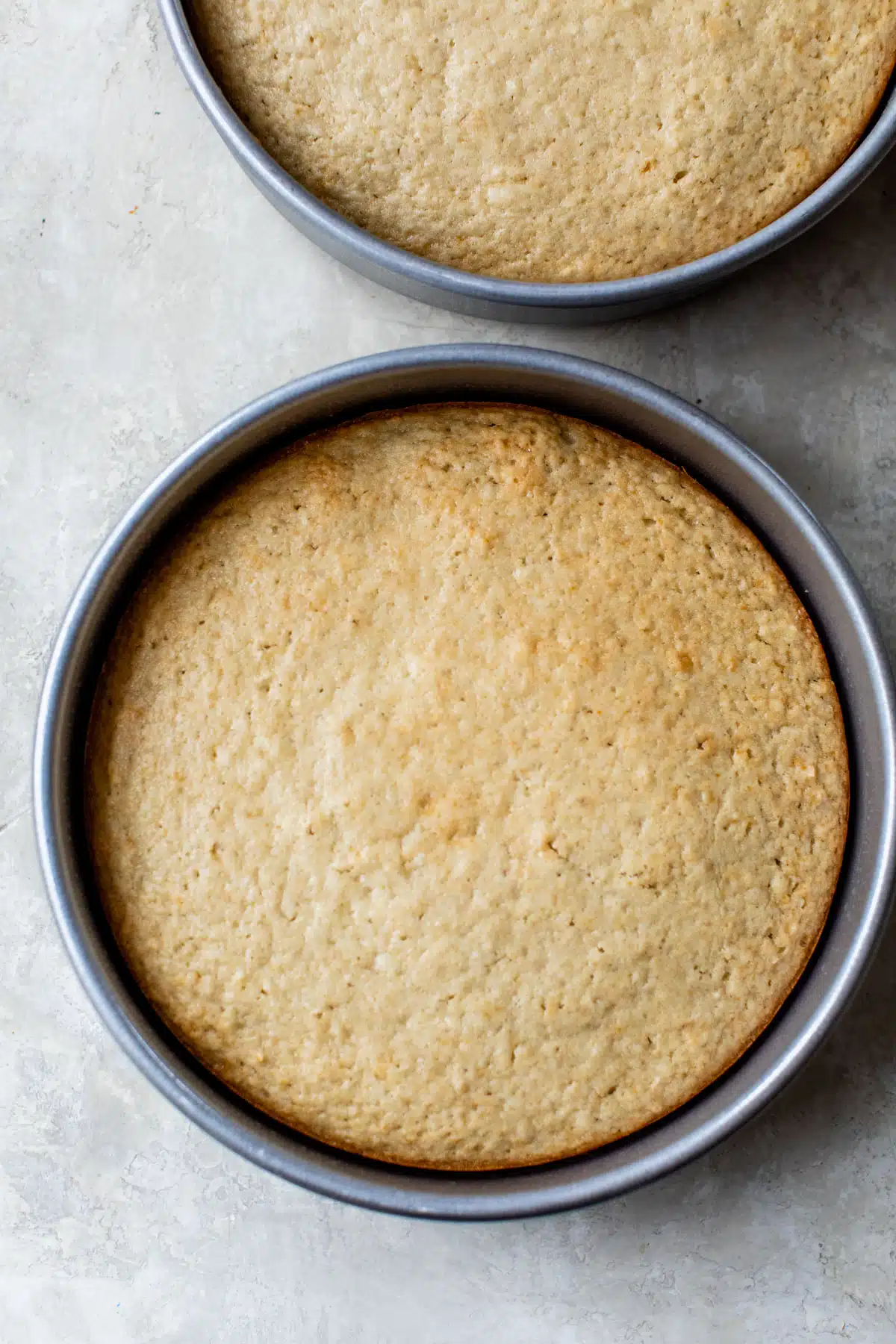 vanilla cake in a round cake pan