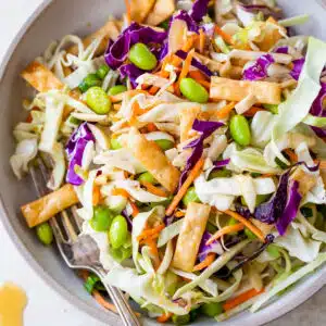 a bowl of salad with a fork made with cabbage, edamame and wonton strips
