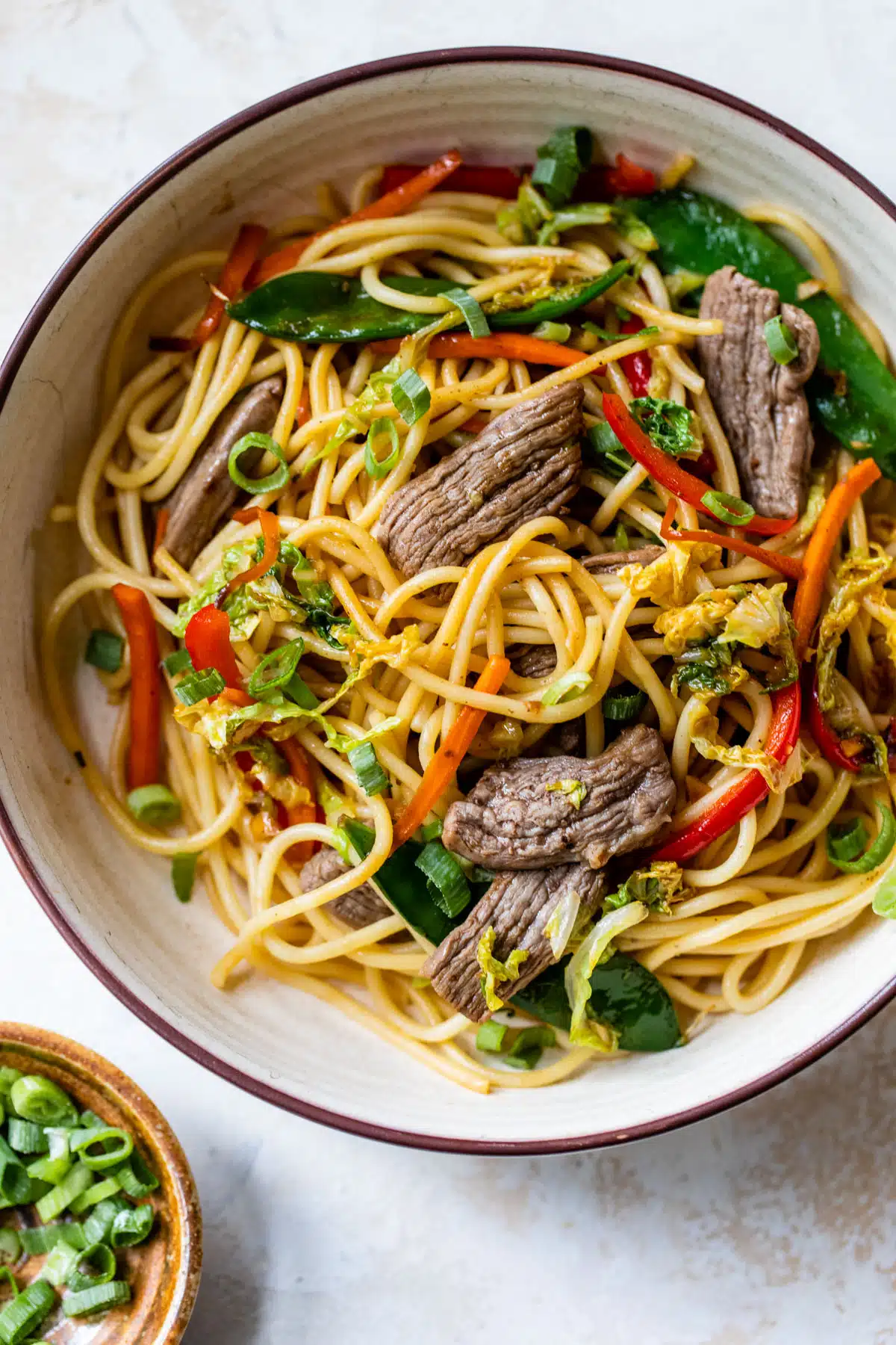 a bowl of lo mein made with noodles, beef and vegetables
