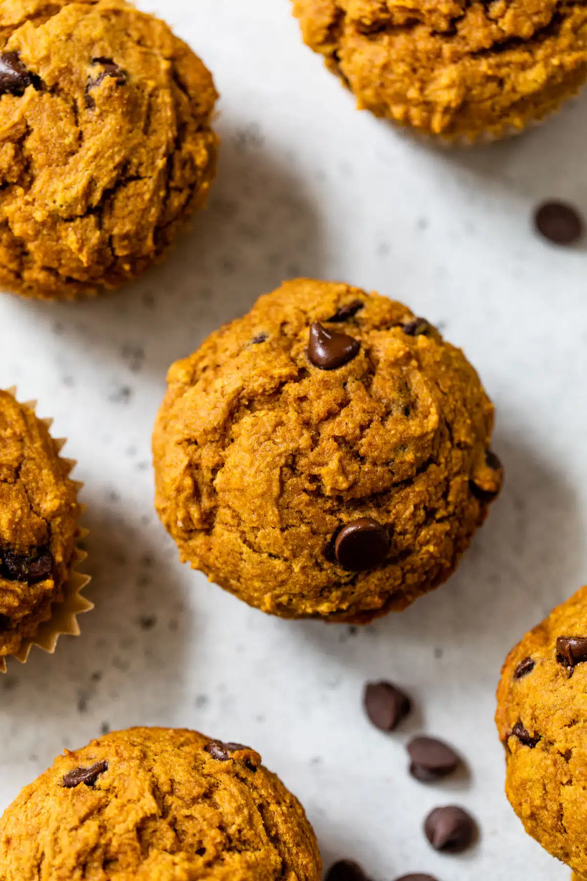 an overview of a few pumpkin chocolate chip muffins