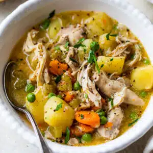 instant pot chicken stew in a bowl with a spoon