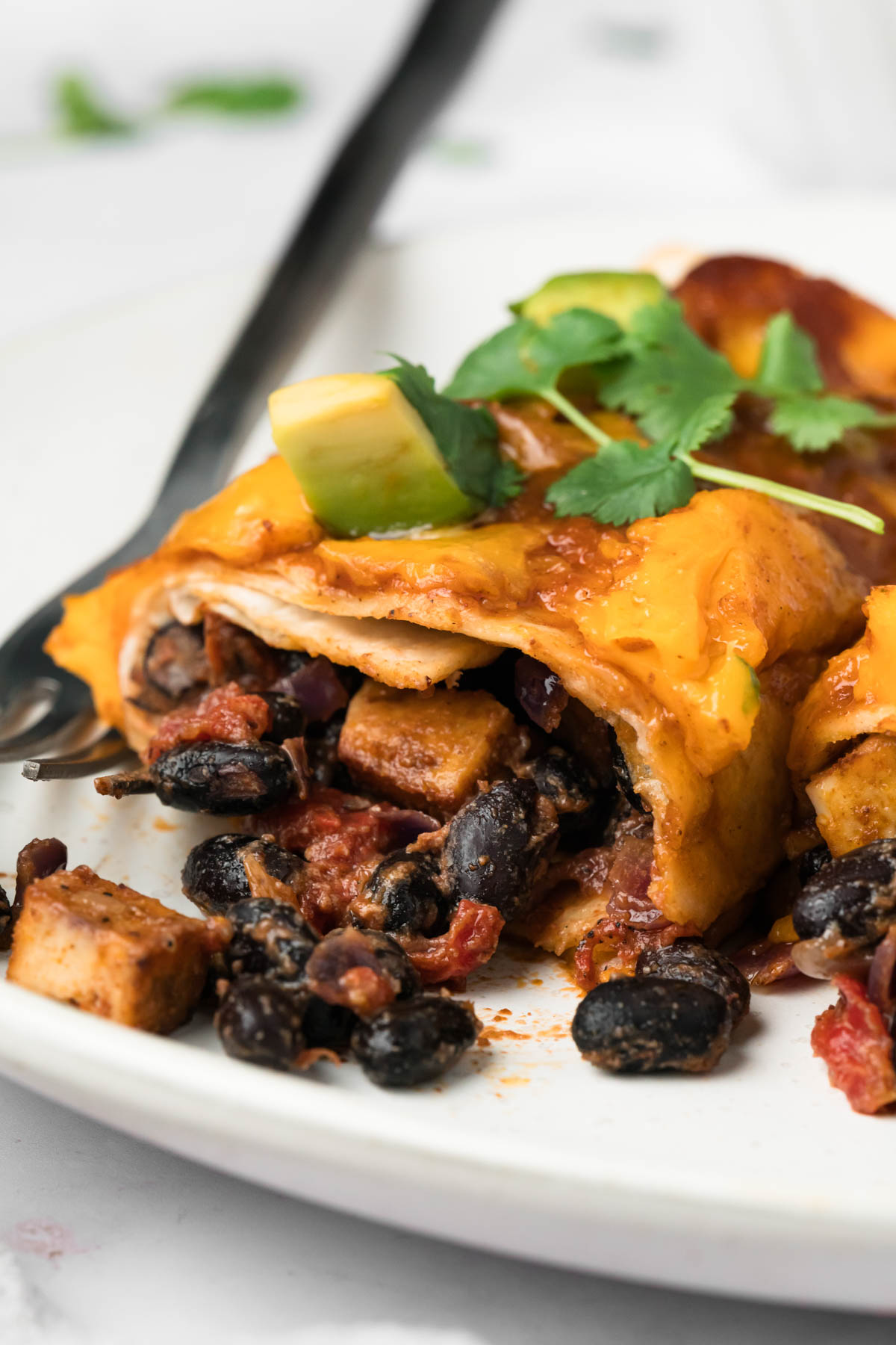 close up on a tofu enchilada on a plate.
