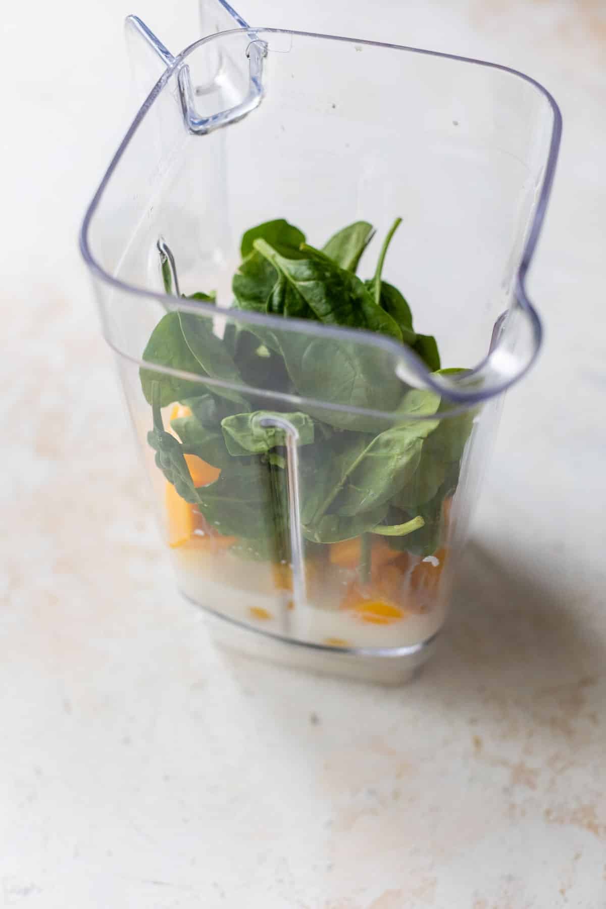 side view of the ingredients for a kiwi smoothie in a large blender.